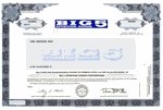 Big-5-Sporting-Goods