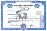 Bull-Run 