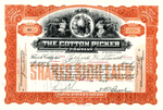 Cotton-Picker 