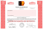 Docent-Incorporated-Delaware 