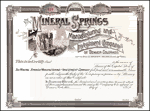 Mineral-Springs-Manufacturing-Investment