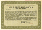 New-England-Lime 