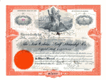 New-Orleans-Gulf-Steamship 