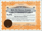 Public-Life-Insurance 