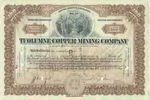 Tuolumne-Copper-Mining 