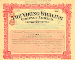 Viking-Whaling 