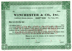 Winchester 